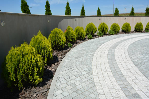 Reasons to Select Us for Your Driveway Paving Requirements in Warsaw, NC